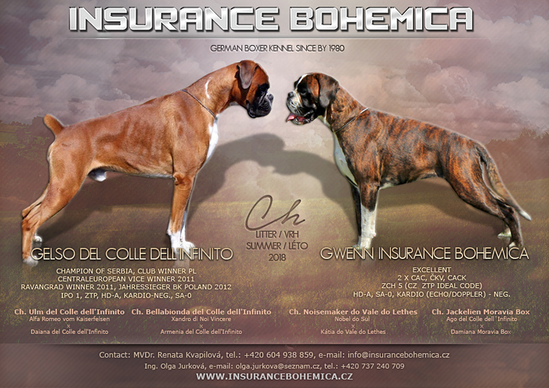 CH-vrh Insurance Bohemica